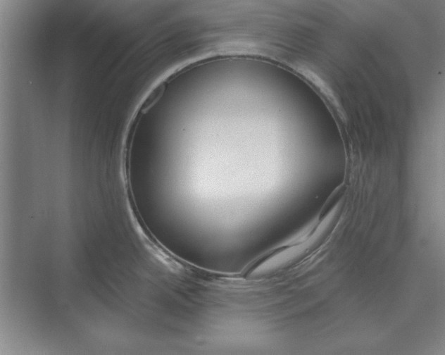 X0000074961342200609221747