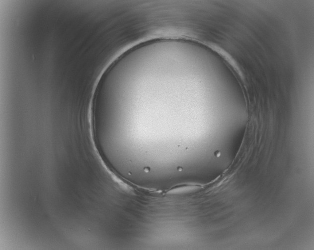 X0000074961343200609221747