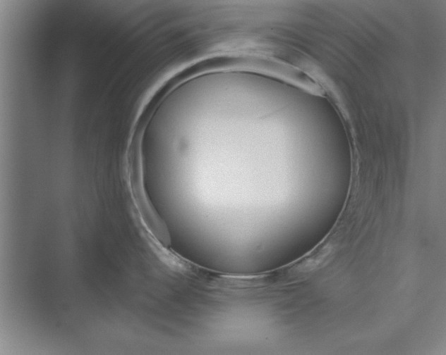 X0000074961344200609221747