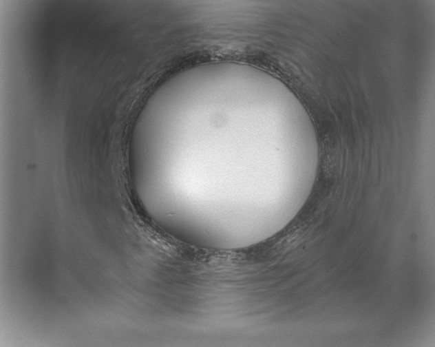 X0000074961345200609221746