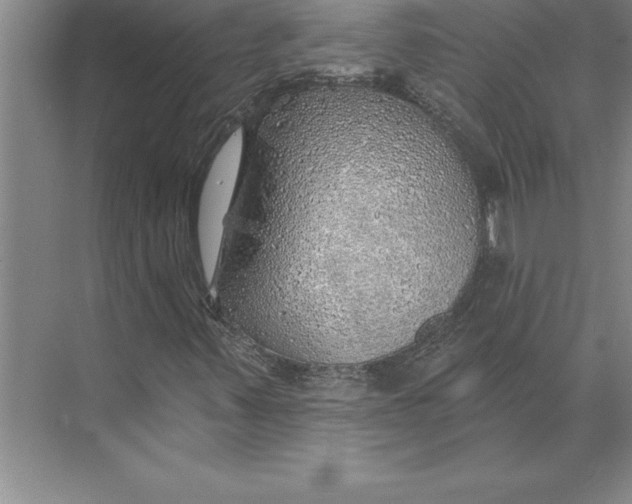 X0000074961347200609221746