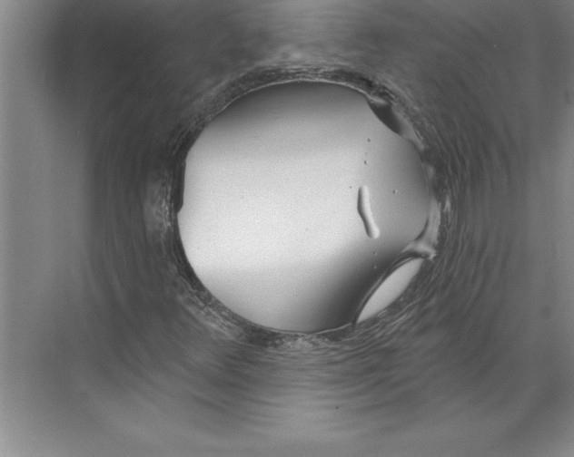 X0000074961348200609221746