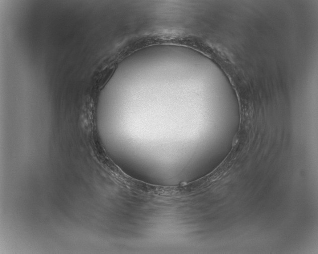 X0000074961349200609221746