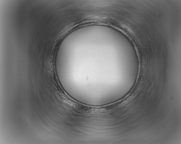 X0000074961354200609221746