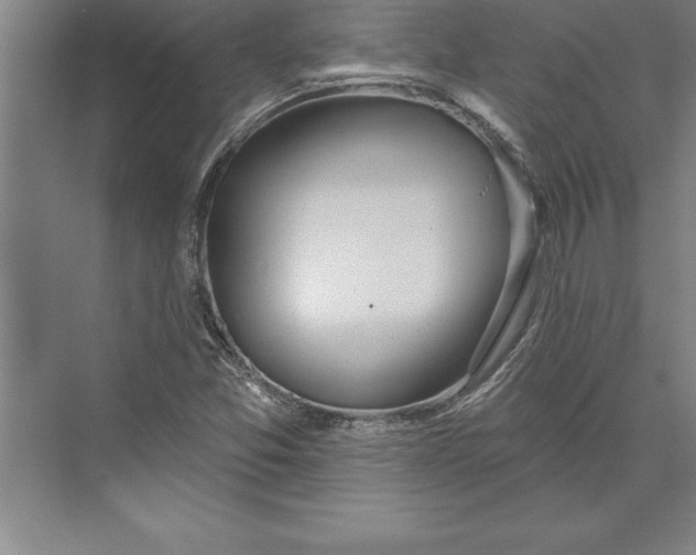 X0000074961357200609221746