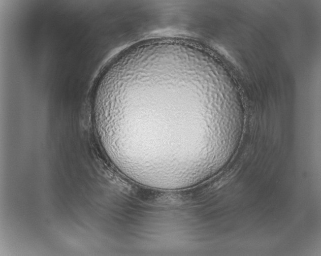 X0000074961358200609221746