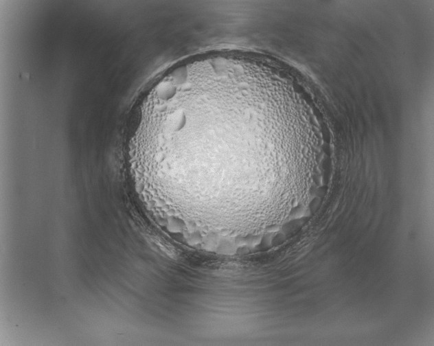 X0000074961359200609221746