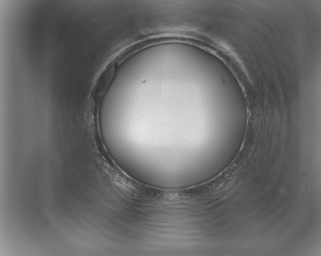 X0000074961360200609221746