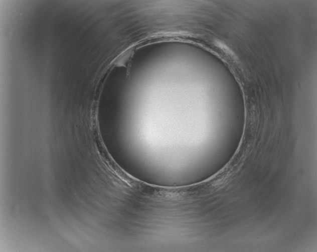 X0000074961361200609221746