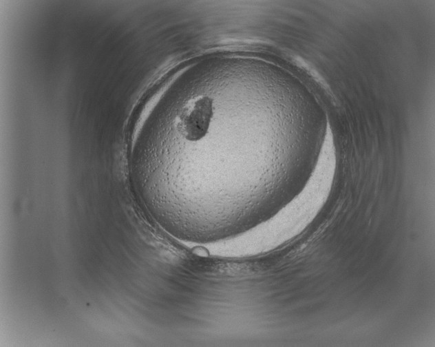 X0000074961362200609221746