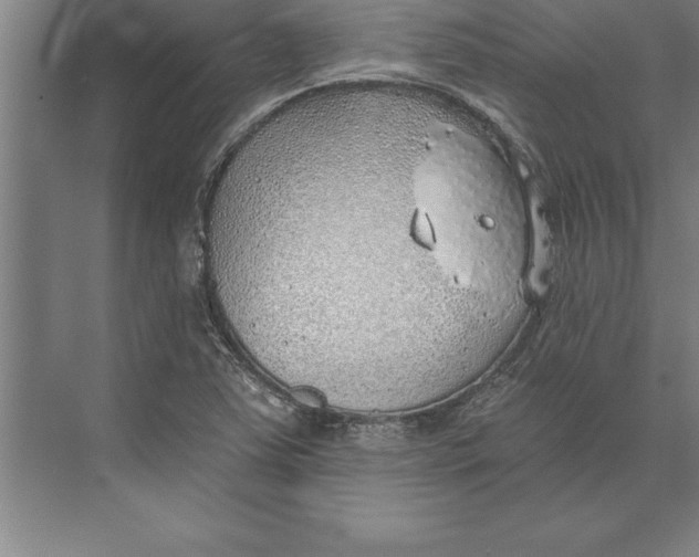 X0000074961363200609221746