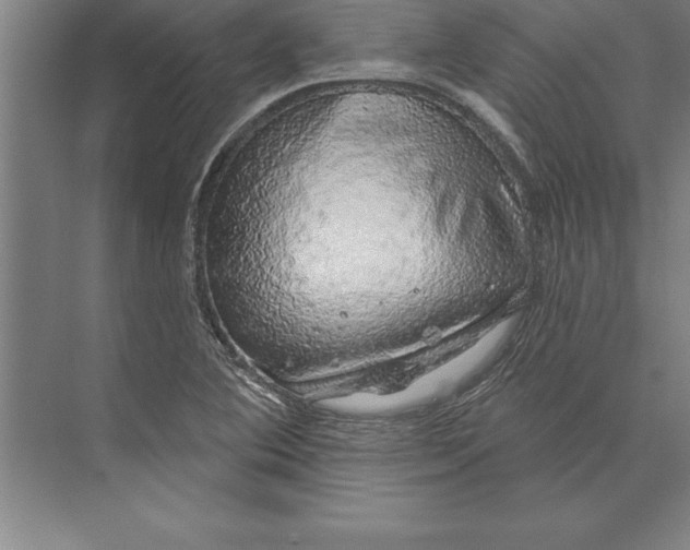 X0000074961364200609221746