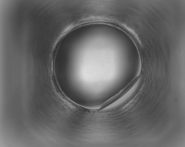 X0000074961365200609221746