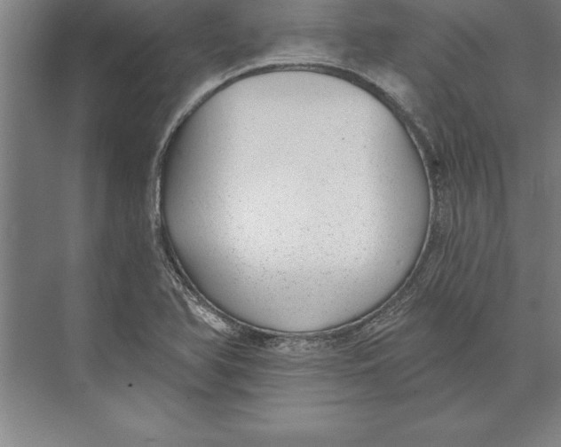 X0000074961366200609221746