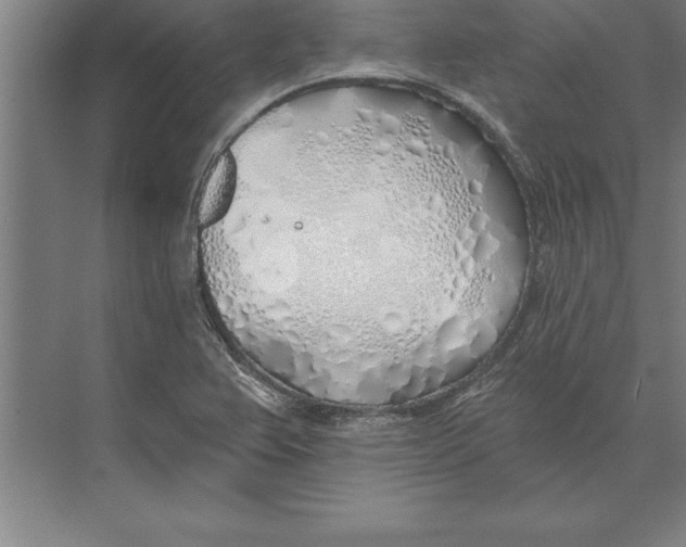 X0000074961367200609221746