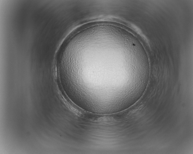 X0000074961368200609221746