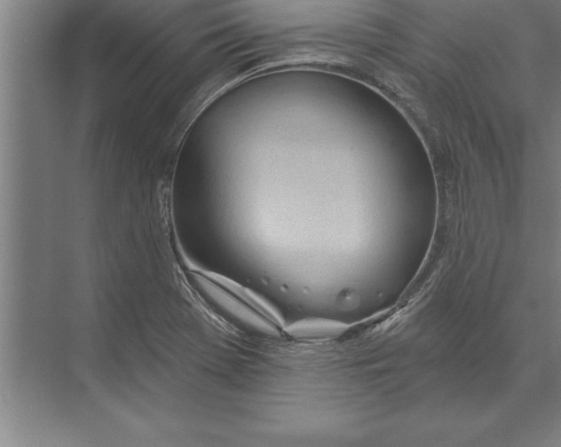 X0000074961369200609221746