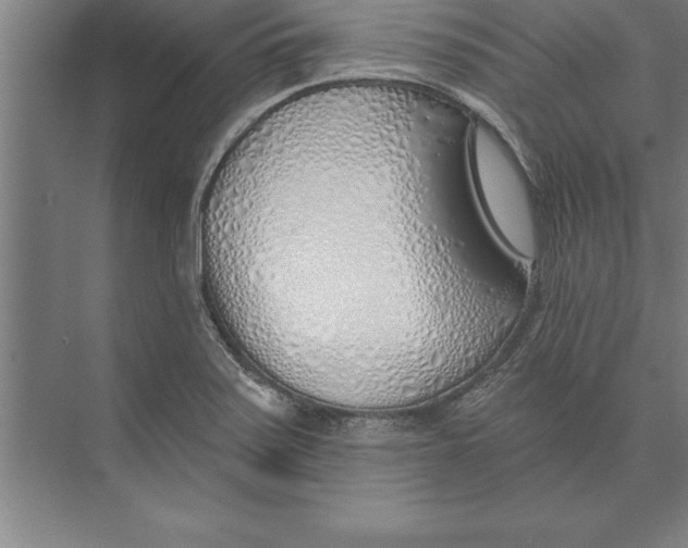 X0000074961371200609221746