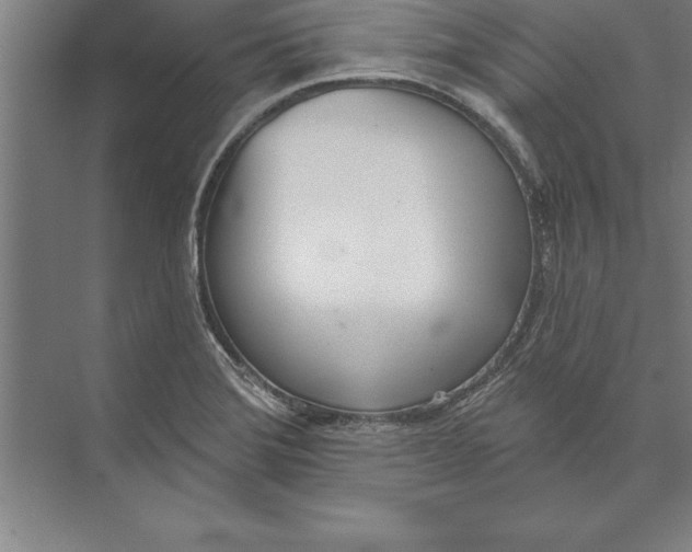 X0000074961372200609221746