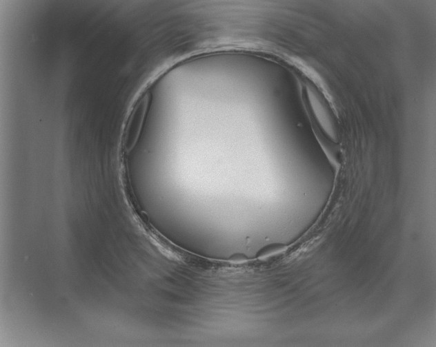 X0000074961373200609221746