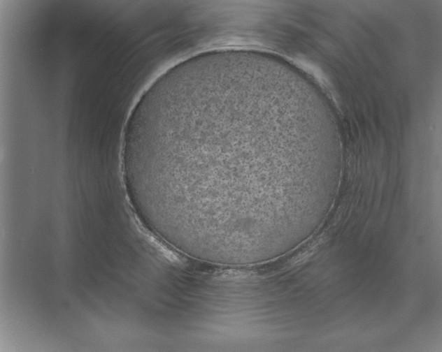 X0000074961374200609221746