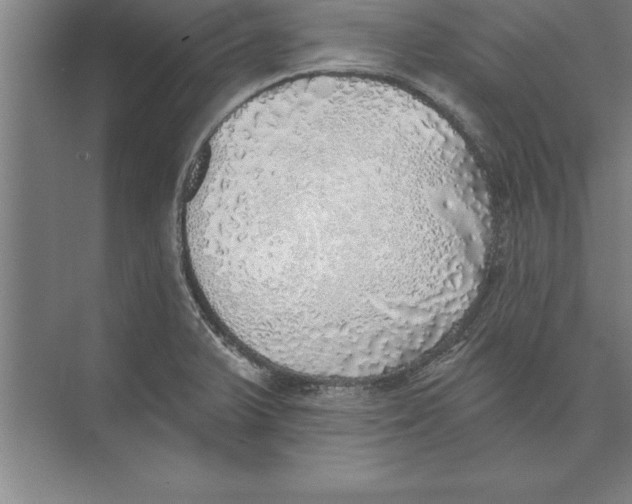 X0000074961375200609221746