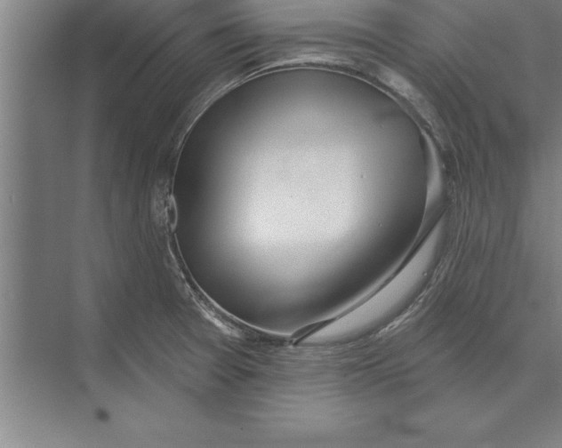 X0000074961377200609221746