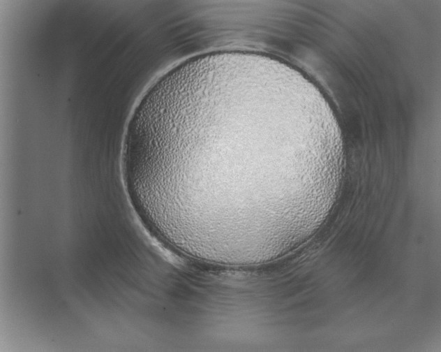 X0000074961379200609221746