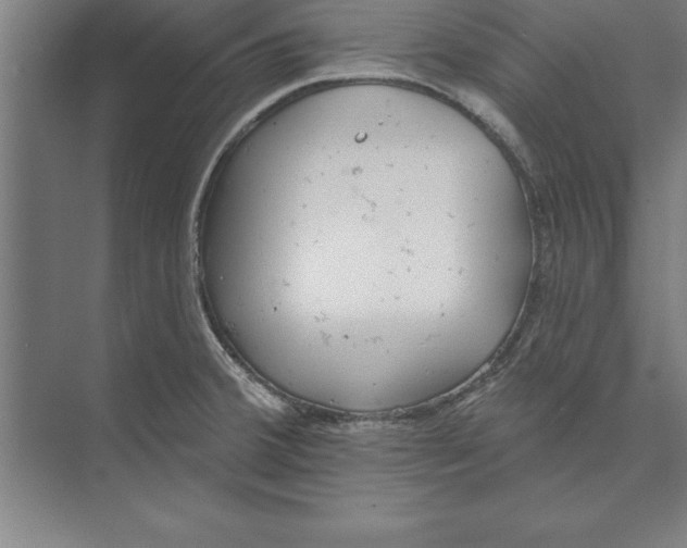 X0000074961380200609221746