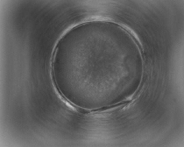 X0000074961381200609221746