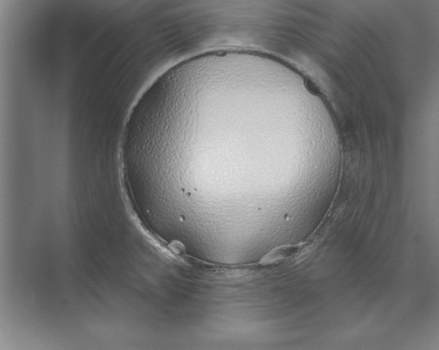 X0000074961382200609221746