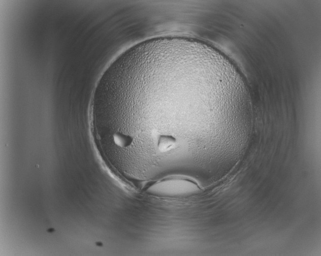 X0000074961383200609221746