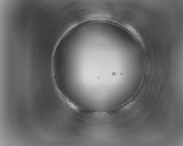 X0000074961384200609221746