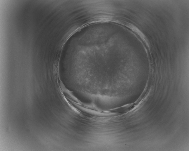 X0000074961385200609221746