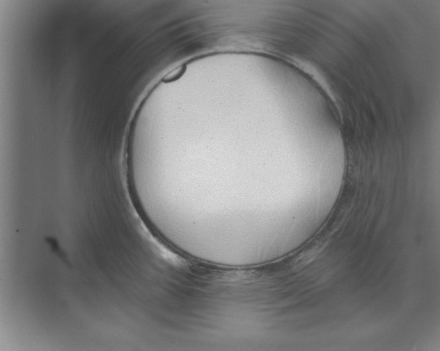 X0000074961387200609221746