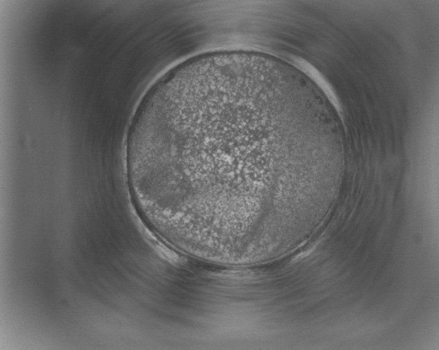 X0000074961388200609221746