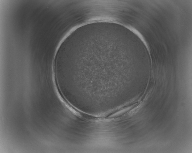 X0000074961389200609221746