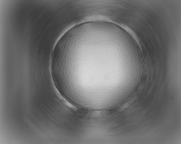 X0000074961390200609221745