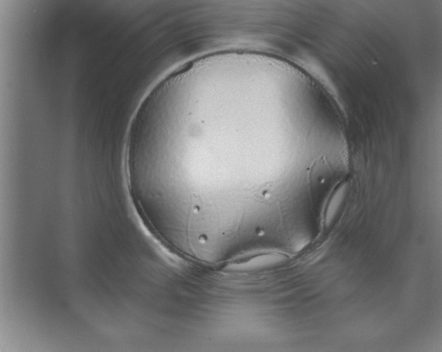 X0000074961391200609221745