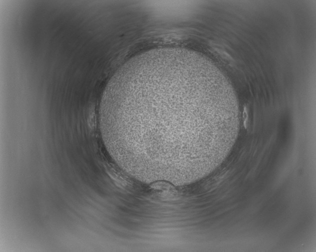 X0000074961395200609221745