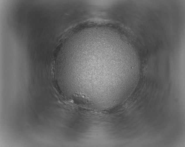 X0000074961397200609221745