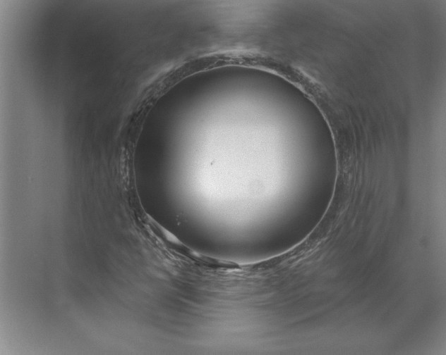 X0000074961398200609221745