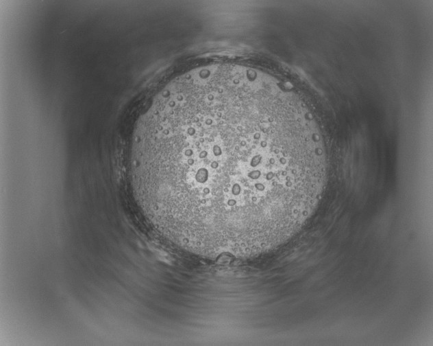 X0000074961399200609221745