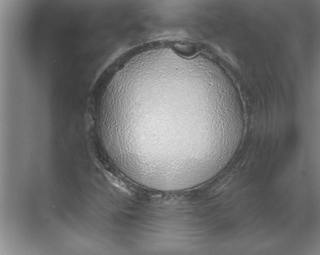 X0000074961400200609221745