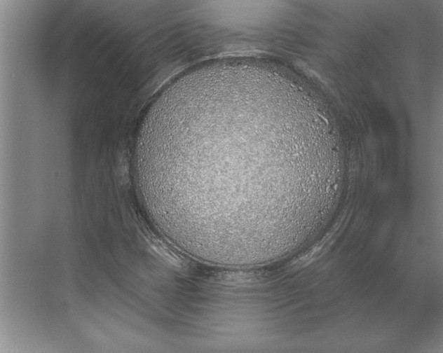 X0000074961401200609221745