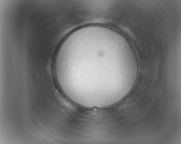 X0000074961404200609221745