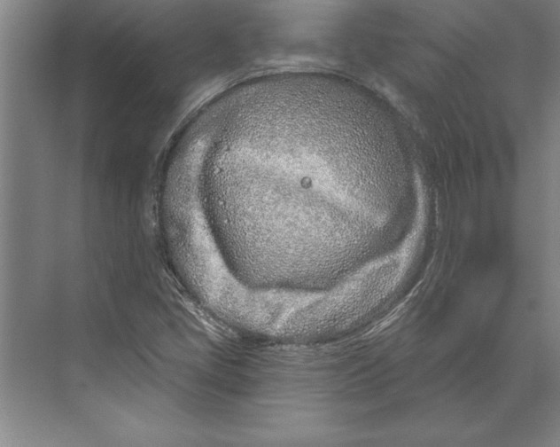 X0000074961405200609221745