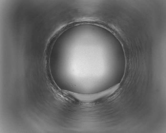 X0000074961406200609221745