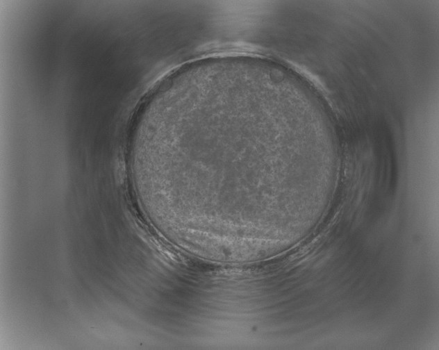 X0000074961407200609221745