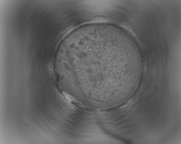 X0000074961409200609221745